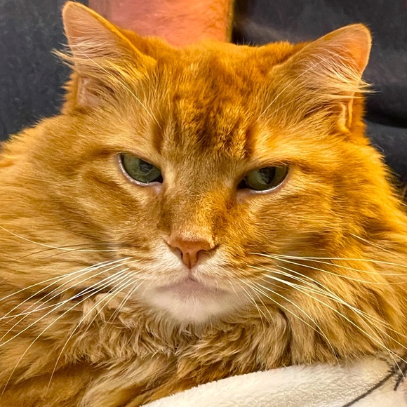 9/24 Jewelry Shown As Is In Live Show - Picture 2 of 3